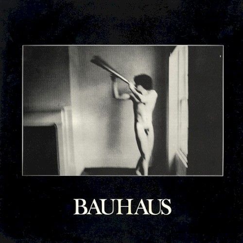 Cover of In the Flat Field by Bauhaus